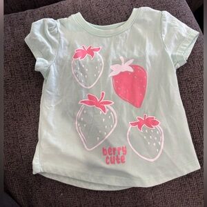 Falls Creek Kids T-Shirt - Light Green with Red and Pink Strawberry Design